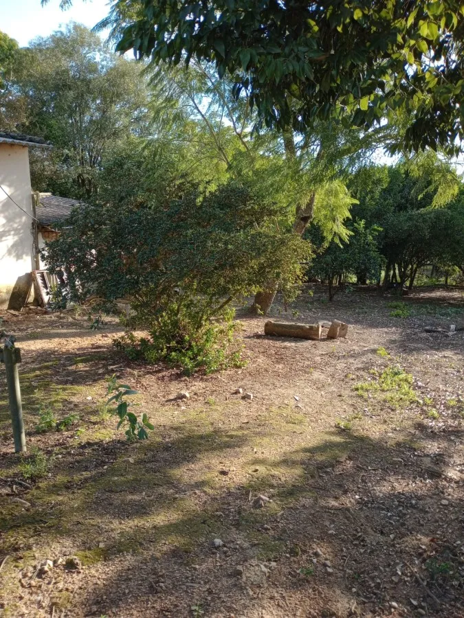 Imagem Sítio para Venda em Pelotas, Monte Bonito, 2 dormitórios, 1 banheiro, 1 vaga