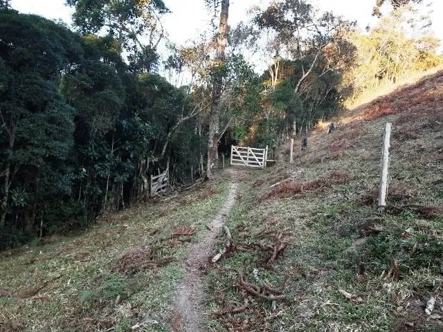 Imagem Chácara à venda 170000M², Paraibuna, Cunha - SP