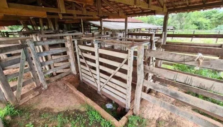 Imagem Fazenda a VENDA, 66 alqueires, Região Bauru
