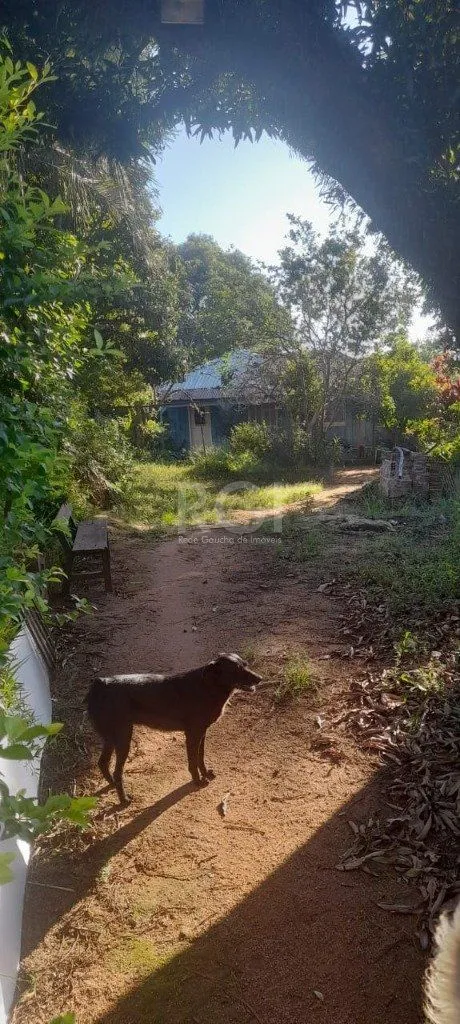 Imagem Terreno em Teresópolis