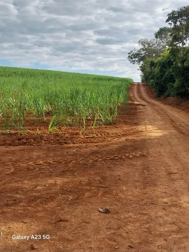 Imagem Vendo excelente fazenda em Lagoa da Prata/MG 376 hectares de terra