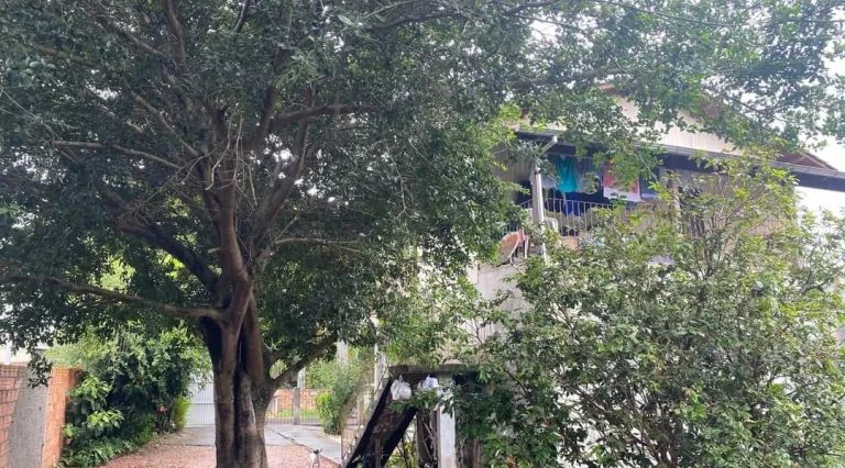 Imagem Casa com 6 Quartos à Venda, 140 m² em São Francisco - Criciúma