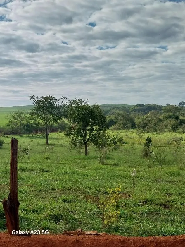 Foto do imóvel Vendo excelente fazenda em Lagoa da Prata/MG 376 hectares de terra
