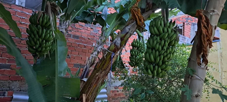 Imagem Casa com dois dormitórios no Parque Residencial Potiguara em Itu SP