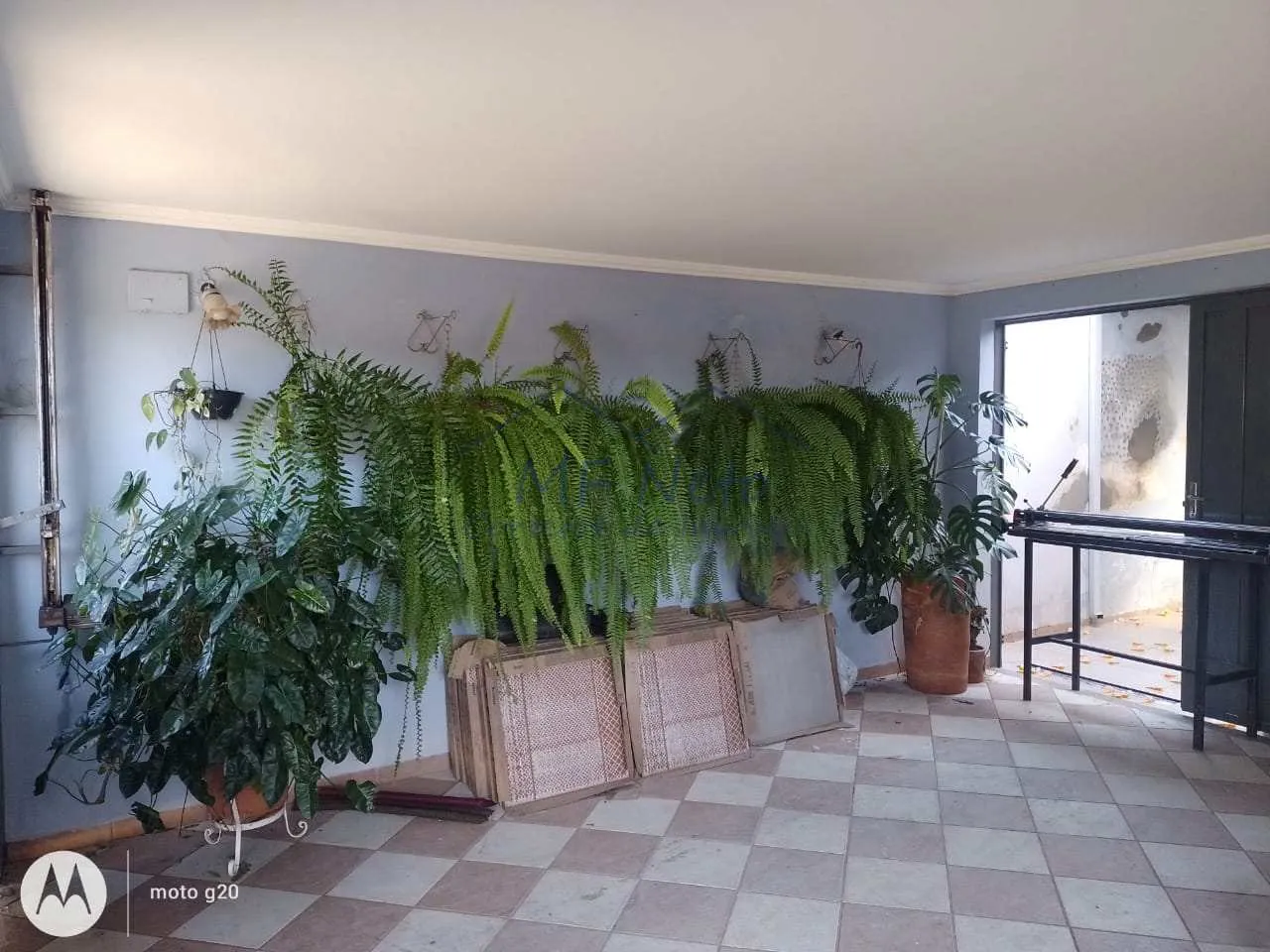 Imagem Casa Padrão