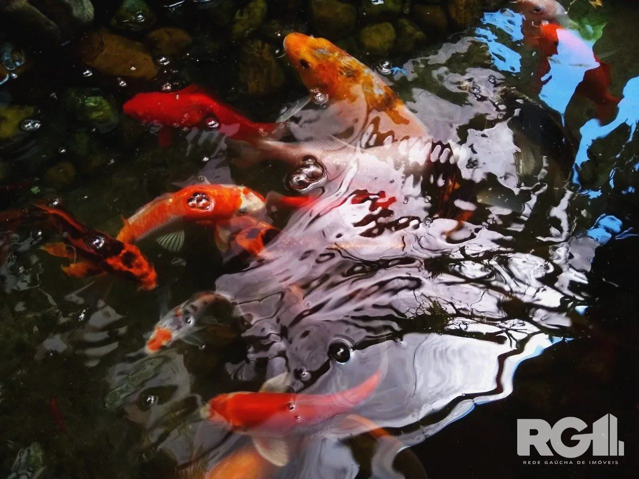 Imagem Casa na Vila Assunção