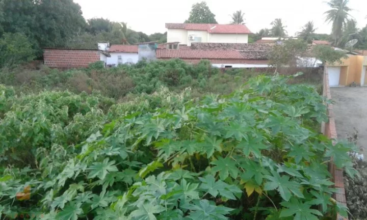 Imagem Terreno a Venda no bairro Pacajus - Pacajus, CE