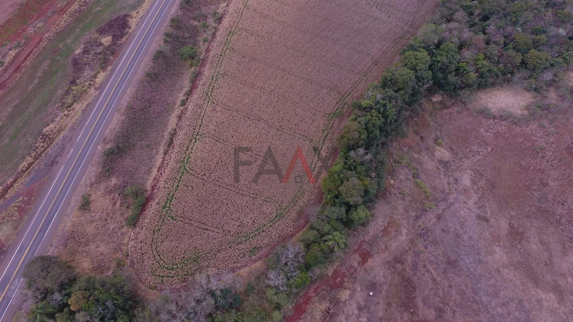 Imagem Chácara, ALAGADO, GUARAPUAVA - PR