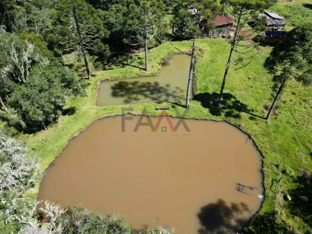 Imagem Chácara à venda,122.962,16 m , Distrito do Guairacá, GUARAPUAVA - PR