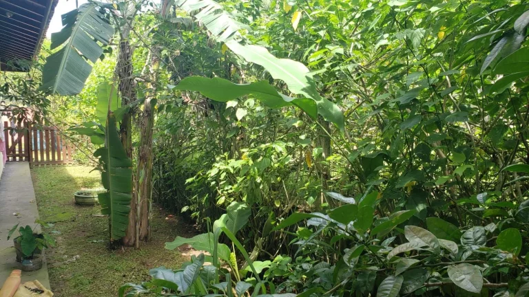 Imagem Sobrado com 3 dormitórios à venda, 155 m² por R$ 1.200.000,00 - Lagoinha - Ubatuba/SP