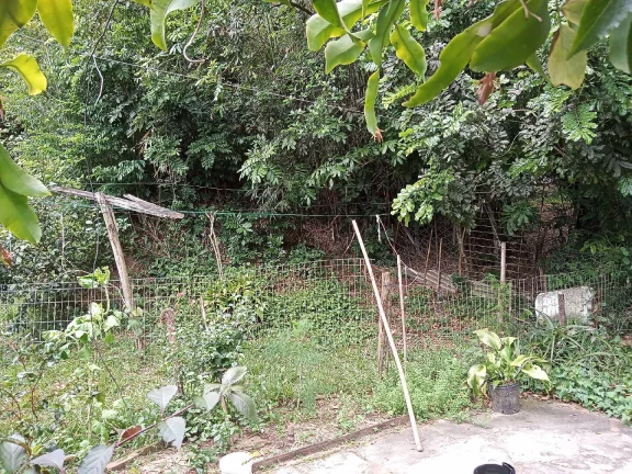 Imagem Sítio Rural com 3.6 hectares, açude, localizado no Capão da porteira
