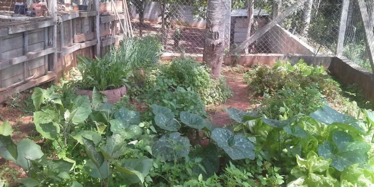 Imagem Chácara com 4 Quartos à Venda, 400 m² em Centro - Santa Isabel