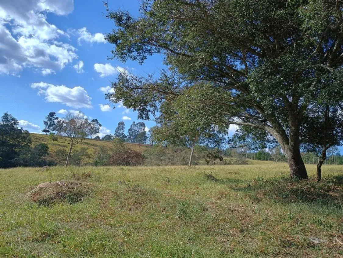 Imagem Excelente Terreno à Venda em Oliveira/MG: 34 Hectares com Boa Disponibilidade de Água