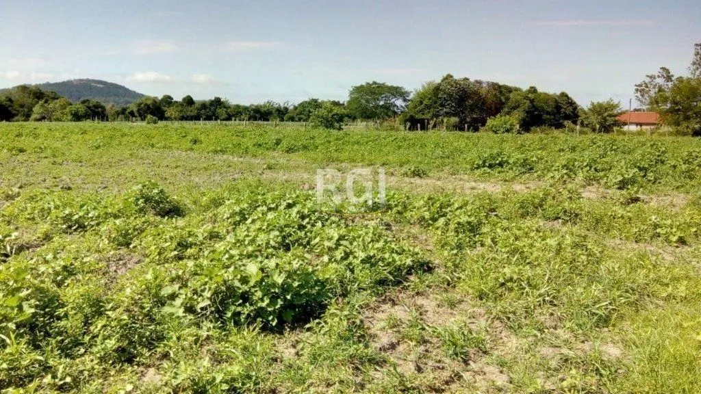 Imagem Sítio para Venda - 20060m² Zona Sul Lami