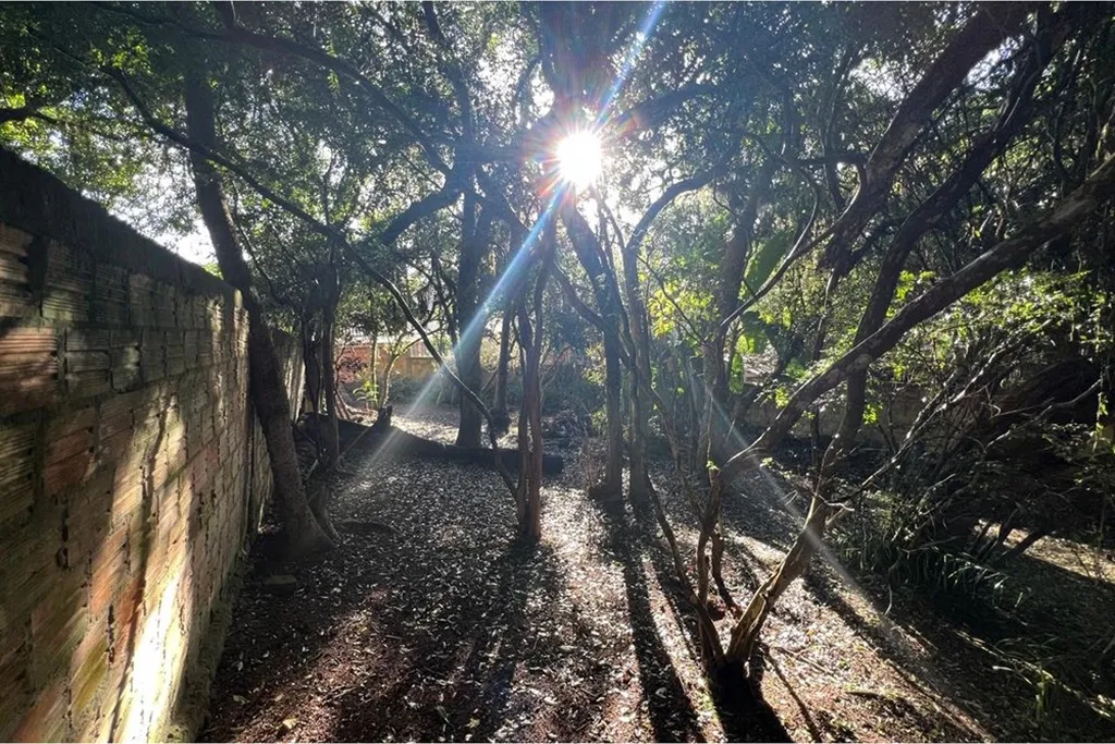 Imagem Terreno em Belém Velho