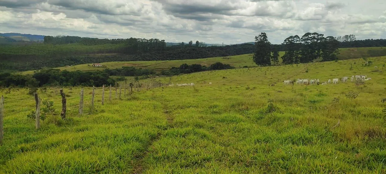 Imagem endo uma excelente fazenda em Desterro de Entre Rios com 277 hectares de terra