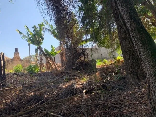Imagem Terreno à venda Alto do Cardoso, Pindamonhangaba - SP