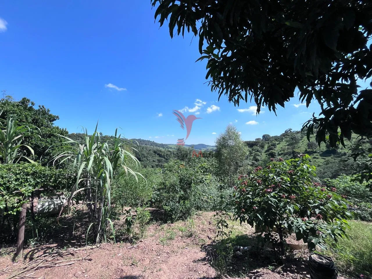 Imagem Sítio com 8.000 metros a venda em Araçariguama, no bairro Ella