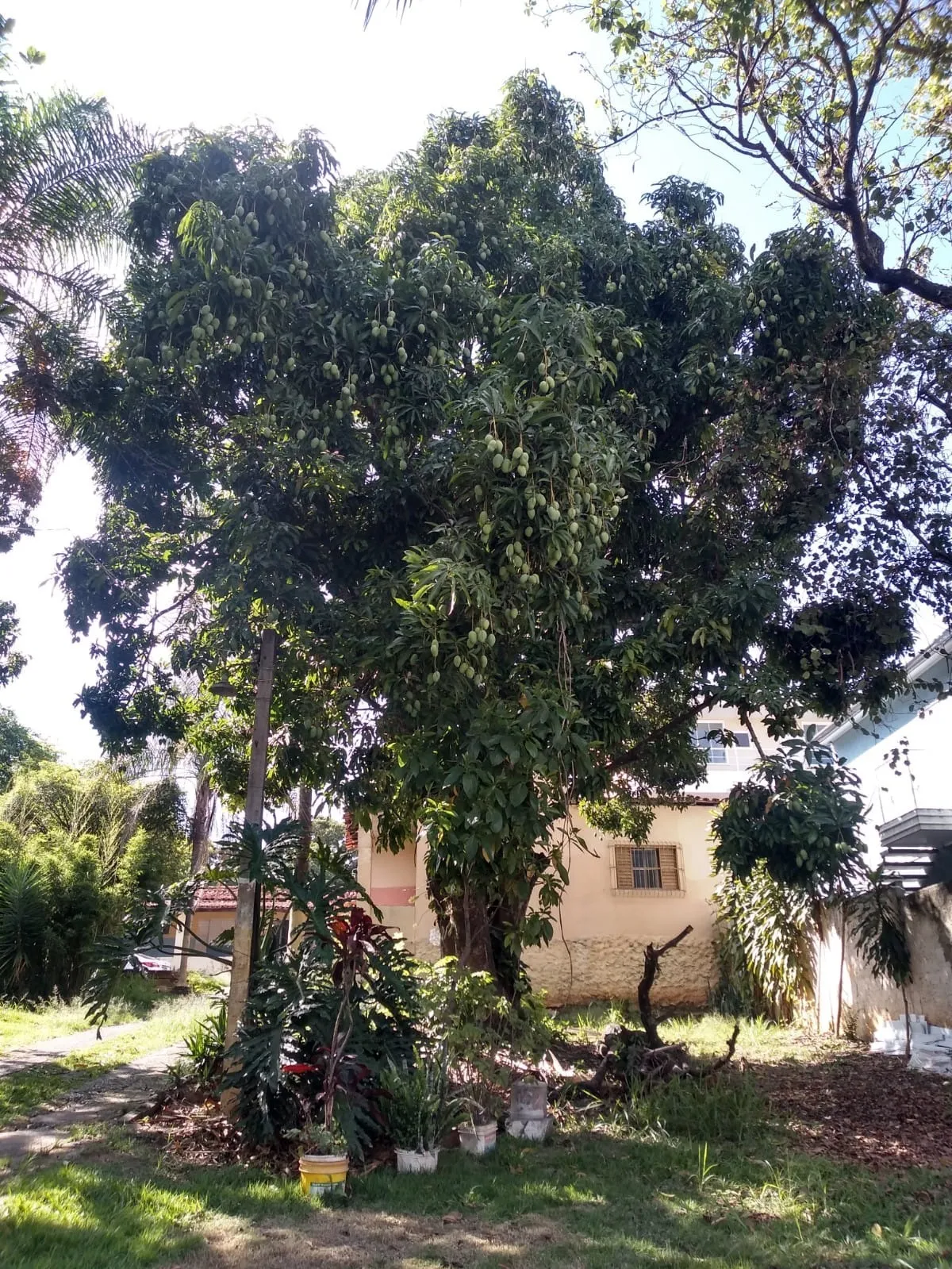 Imagem Chácara com 4 dormitórios à venda, 2200 m² - Vila Helena - Sorocaba/SP