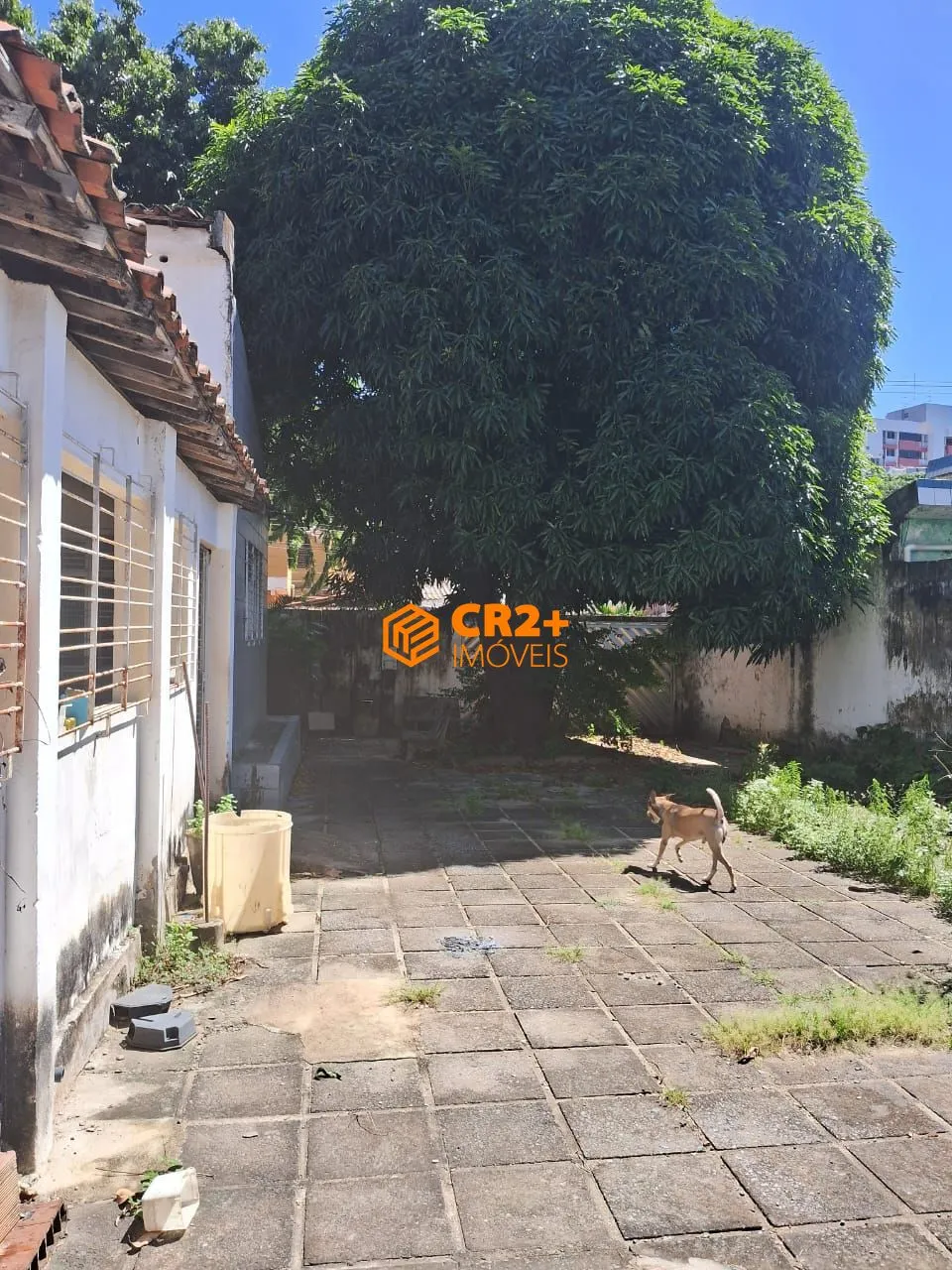 Imagem Casa já escriturada em localização estratégica do Recife 350m²