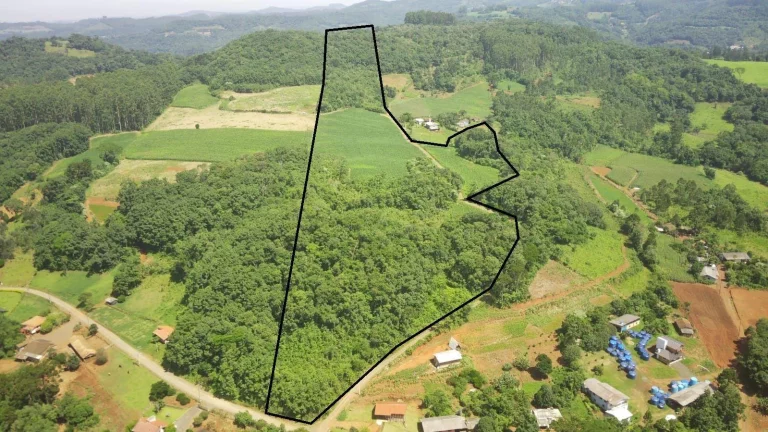 Imagem Área Agrícola para Venda em Concórdia, Rural