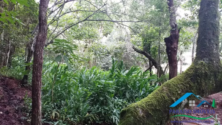 Imagem Paraíso Ecológico: Terreno com Nascente Própria e Vista Panorâmica.