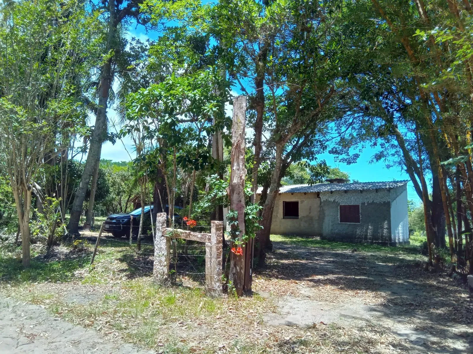 Imagem Lindo Sitio com 13 mil metros com casa !