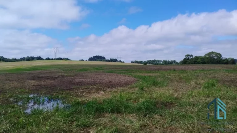 Imagem Sitio a venda 20 alqueires no Município de Pinhão - PR
