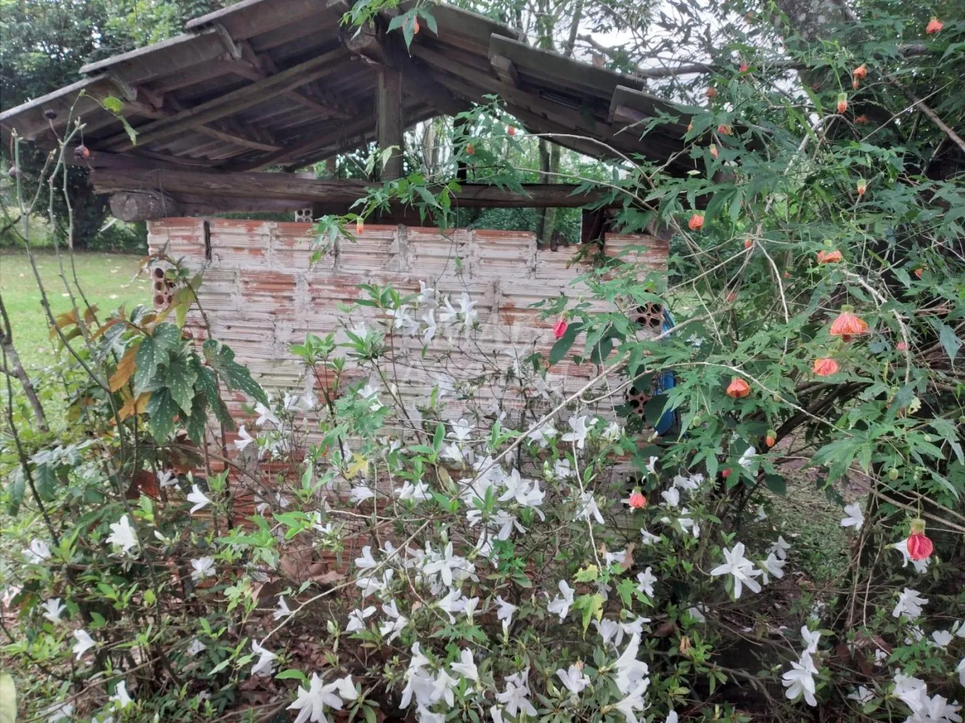 Imagem Chacara para venda em São Jacó, Lomba Grande, NH - 5.000m²