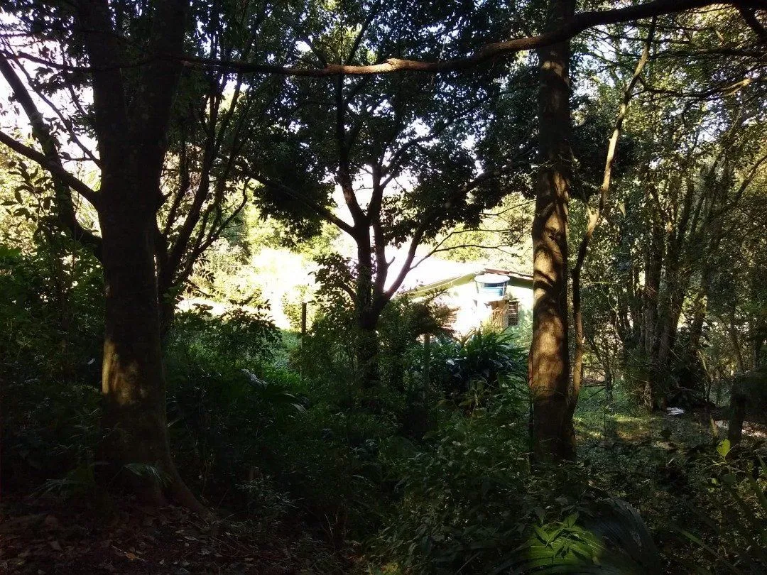 Imagem Terreno em Cascata