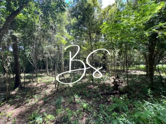 Imagem SITIO RURAL em TRÊS COROAS - RS, RS020