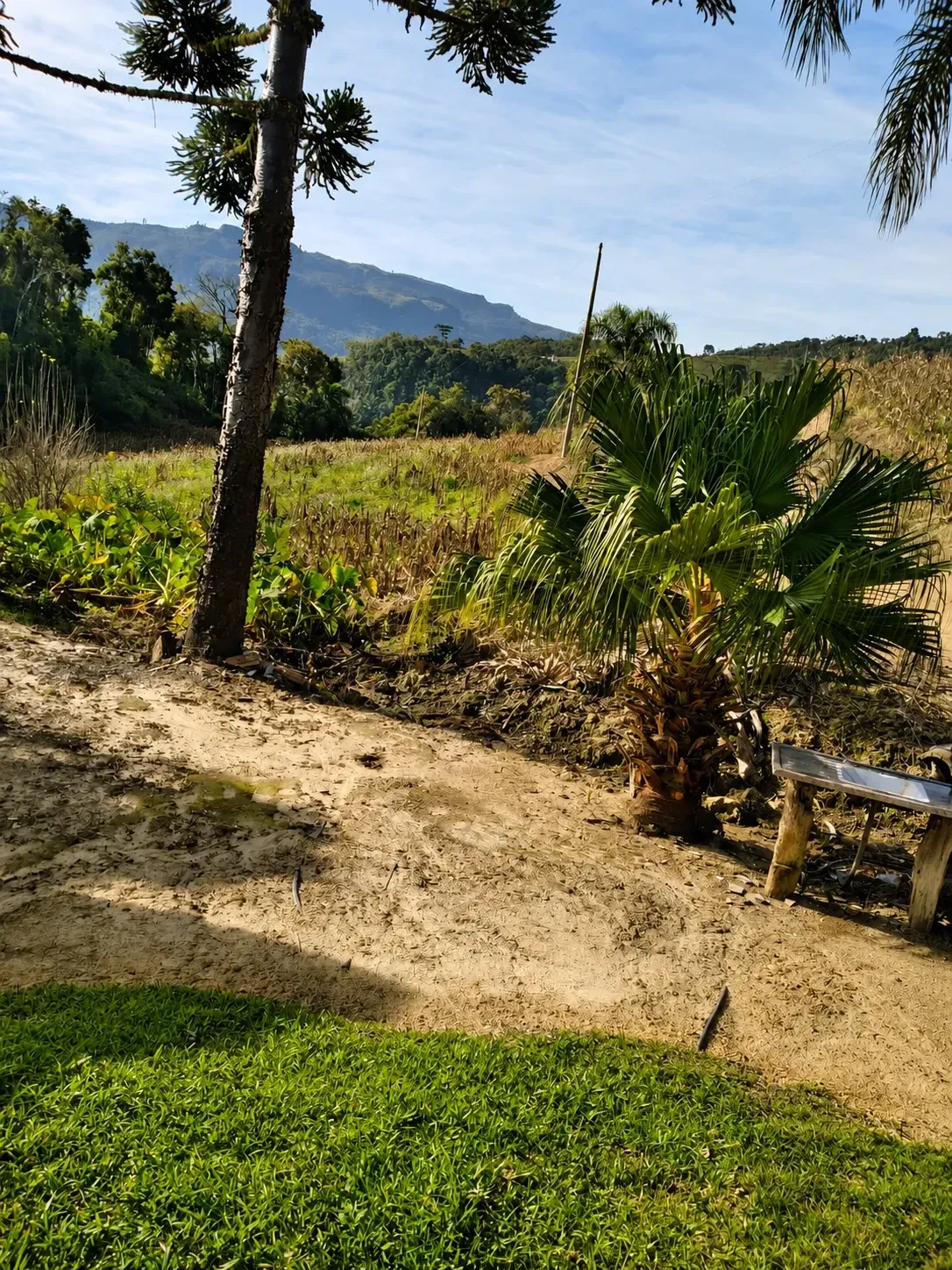 Imagem Chácara à Venda, 60000 m² em Alfredo Wagner - Alfredo Wagner