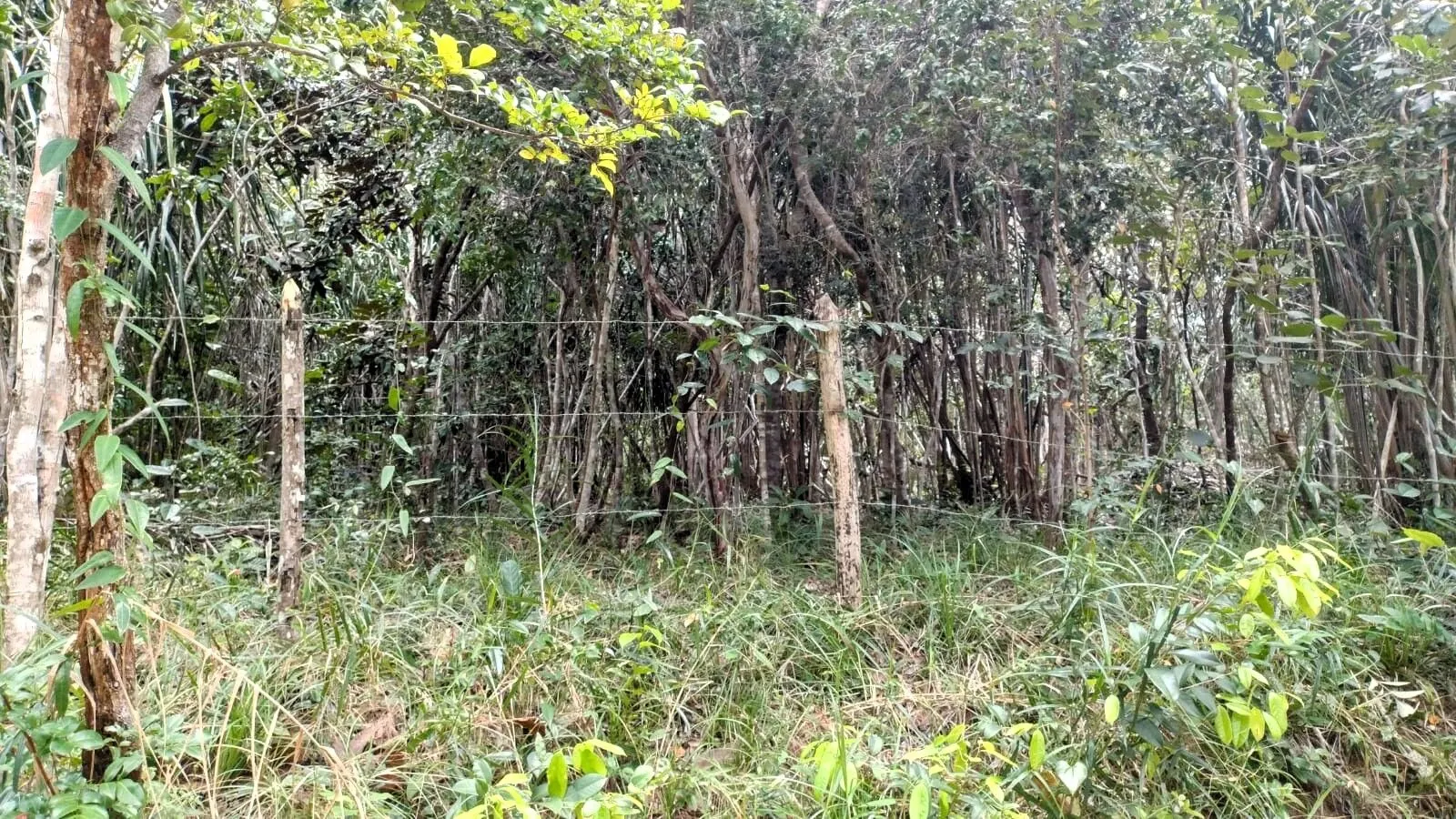 Imagem Oportunidade: Terreno em Mata de São João, Lagoa do Aruá - Venda no Loteamento Quinta do Castelo da Torre