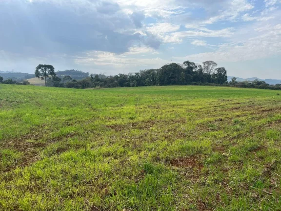 Foto do imóvel Terreno para Venda em Concórdia, Rural em Lageado Paulino