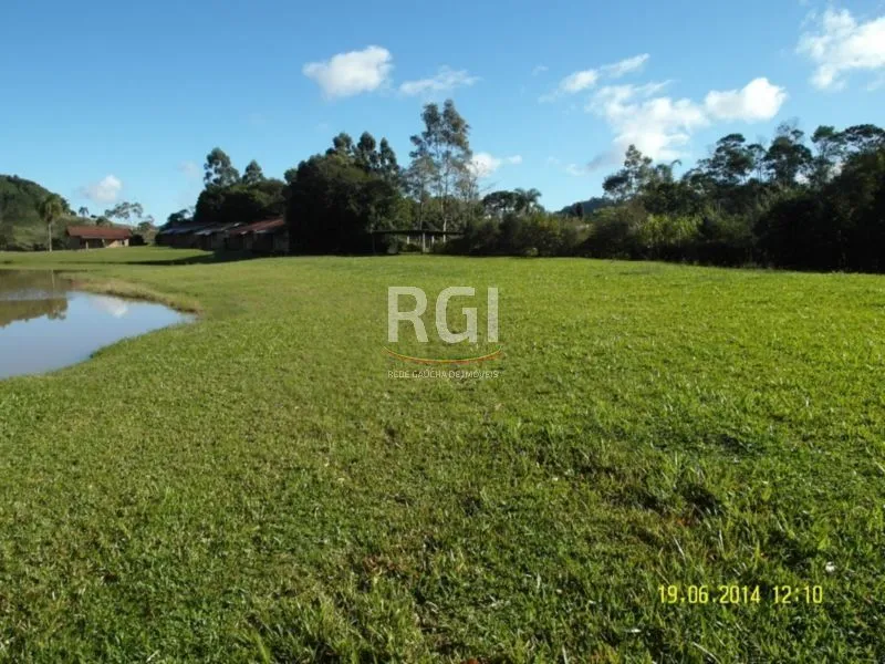Imagem Area para Venda - 35000m², 0 dormitórios, Centro