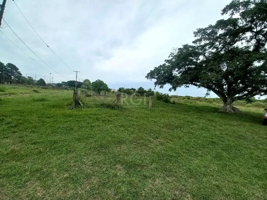 Imagem Grande Terreno na hipica