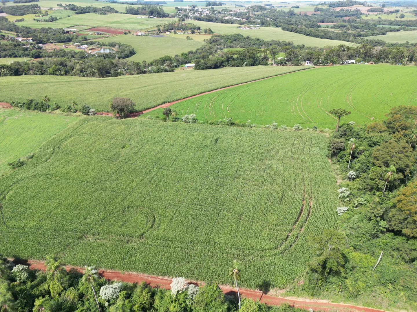Imagem Chacara a venda em Rio do Salto Cascavel
