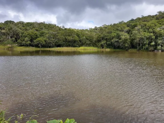 Imagem Sitio com 6 alqueires Tapiraí