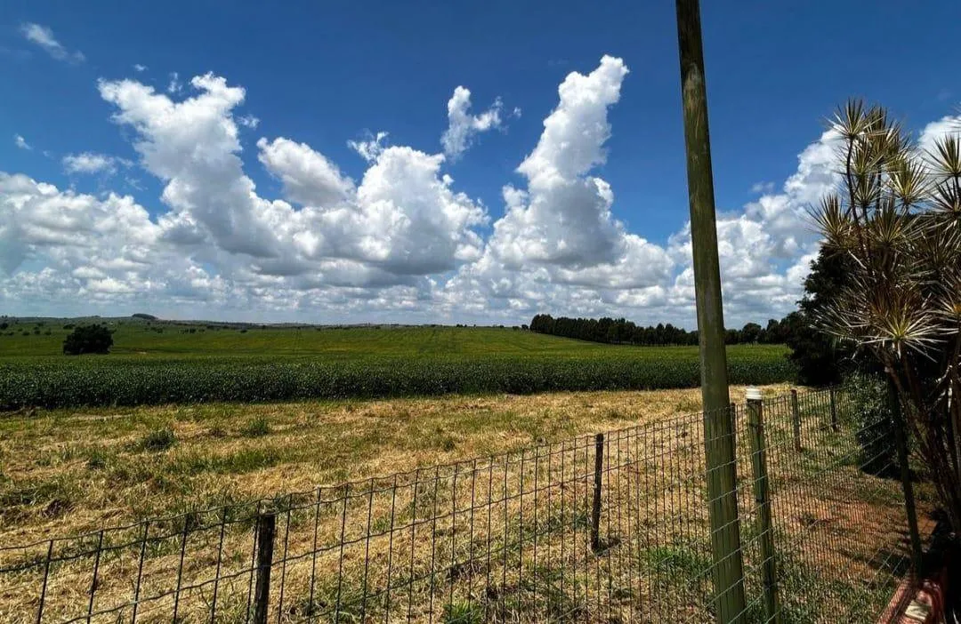 Imagem Vendo uma ótima fazenda em Dores do Indaiá/MG 205 hectares de terra