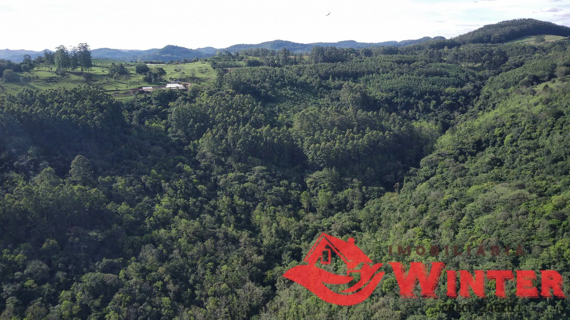 Imagem Área de terras com 7,25 hectares em Morro Grande, Linha Nova.