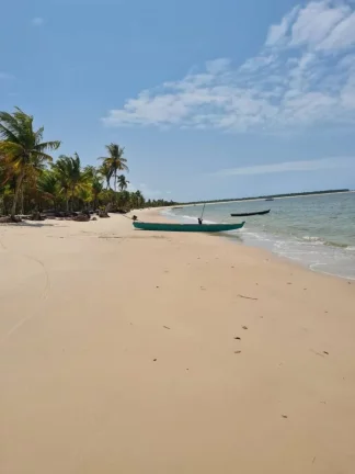 Imagem Casa de Vidro na Ilha dos Tubarões