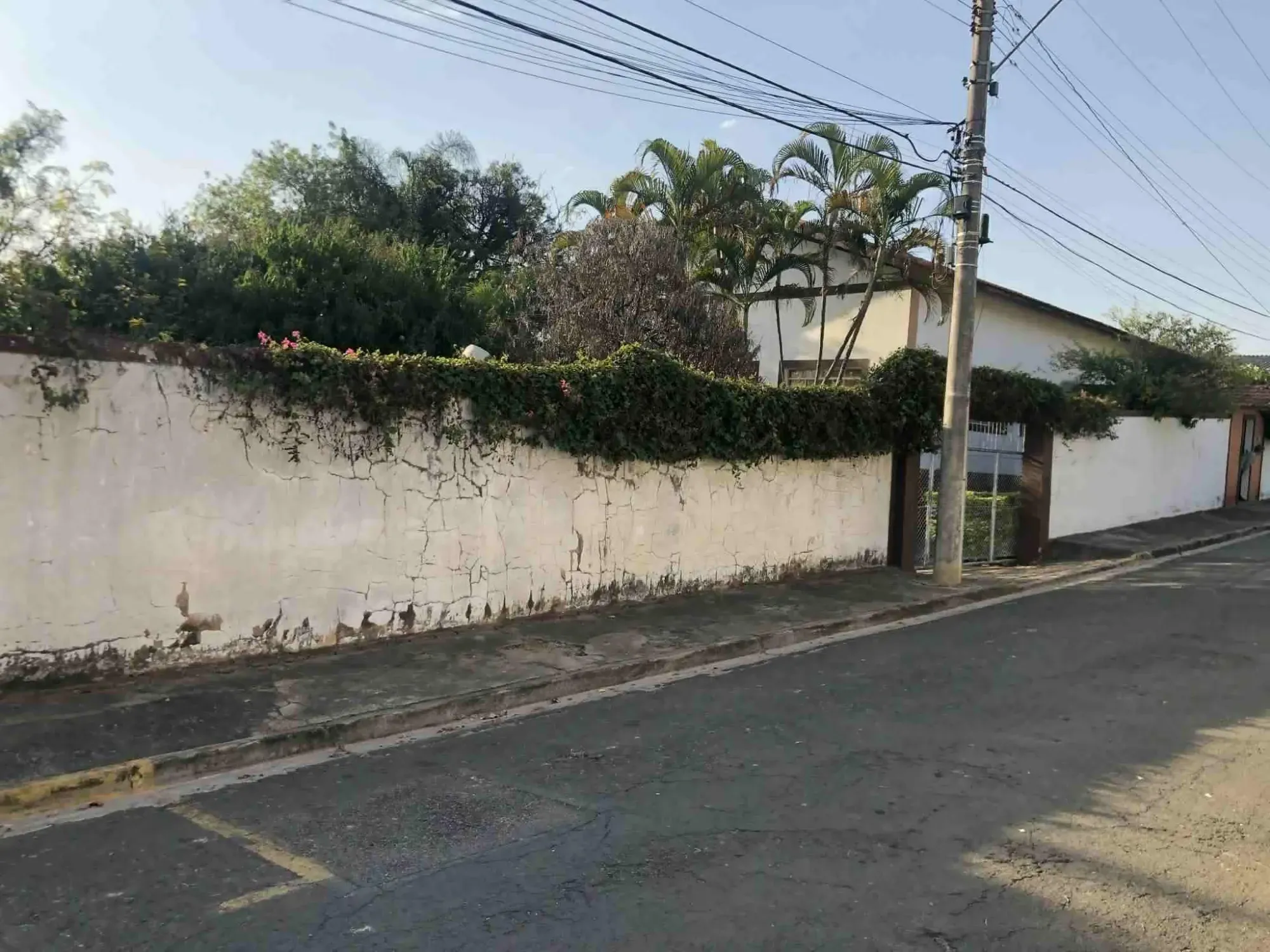 Imagem Terreno à Venda, 1676 metros em Jardim Campos Elíseos - Campinas