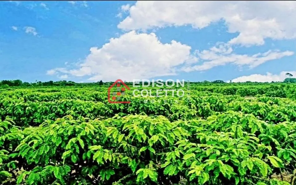 Imagem Fazenda/Sitio, Residencial/Comercial para Venda, Centro, Caraiva