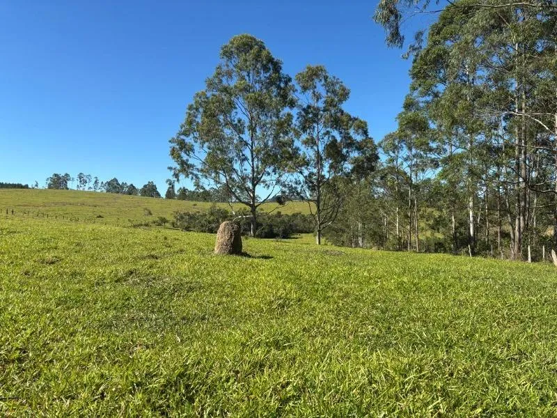 Imagem FAZENDA À VENDA - DESTERRO DE ENTRE RIOS (MG) 51 hectares de área total