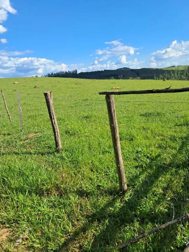 Imagem Terreno à Venda entre Oliveira e Morro do Ferro: 33 Hectares com Topografia Plana