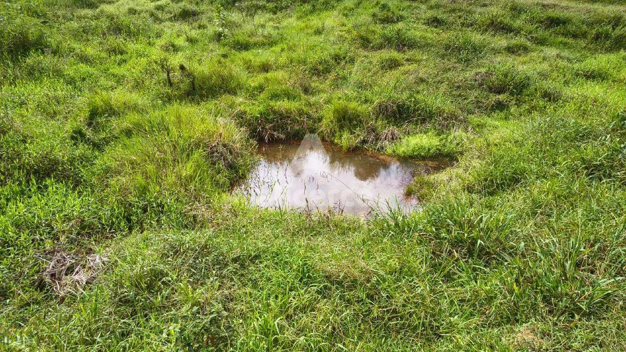 Imagem Sítio à venda com , 36.060m² em Área Rural de Biguaçu Biguaçu