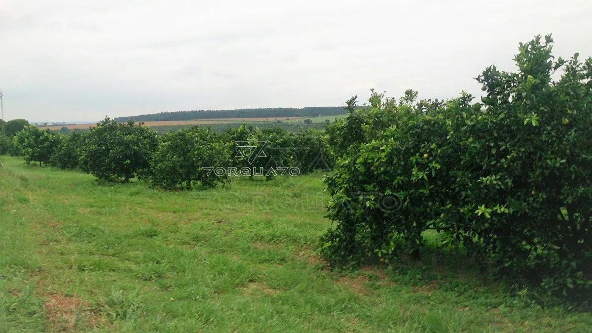 Imagem Seu Sonho Rural em Conchal: Propriedade de 72.600 m² com Infraestrutura Completa!