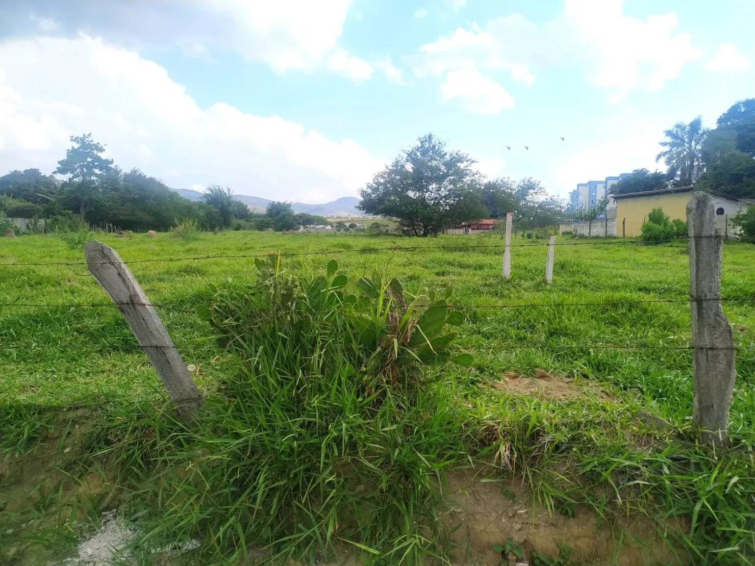 Imagem Terreno à venda 16400M², Feital, Pindamonhangaba - SP