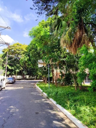 Imagem Conjunto comercial para locação no Capão Redondo
