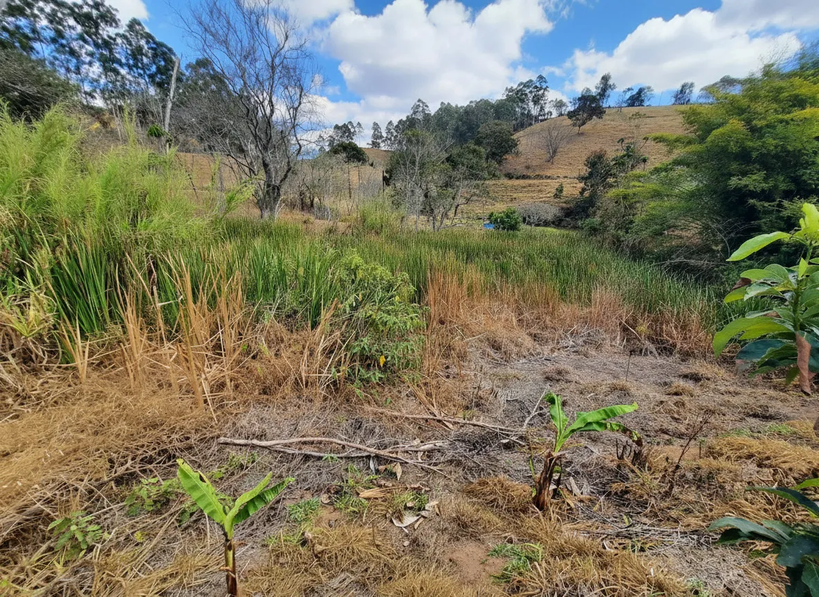 Imagem Terreno à venda em Pinheiros, Bandeira do Sul